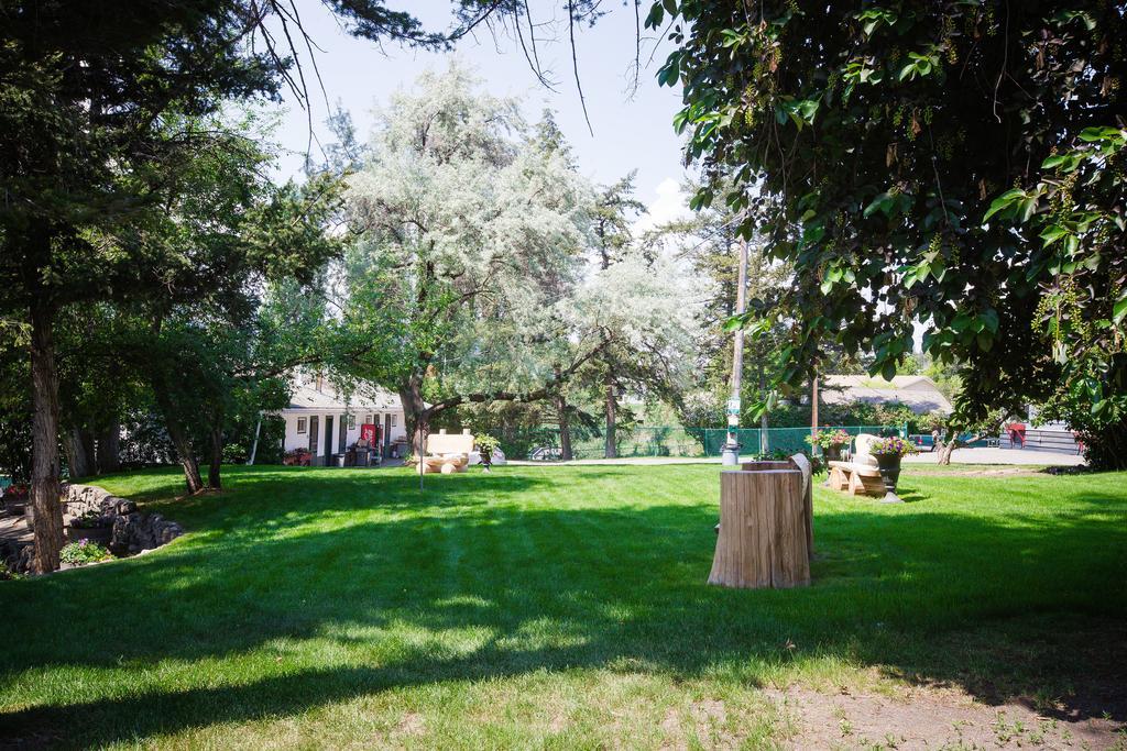 Lakeside Motel Williams Lake Dış mekan fotoğraf
